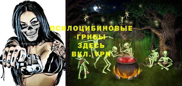 а пвп мука Верхний Тагил